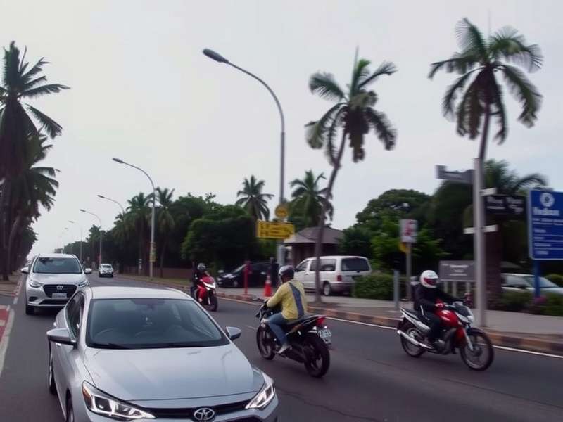 Indian Fast Lane Download